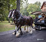 Century Die Plant Tour Workshop